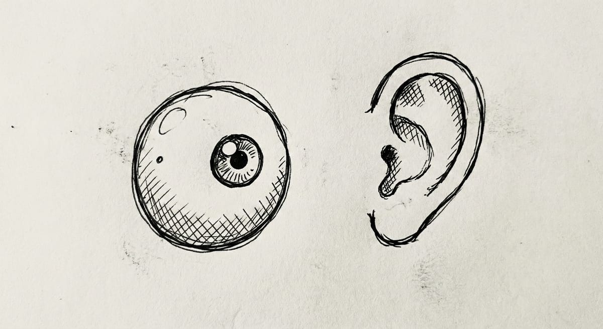 Who is allowed to speak out?